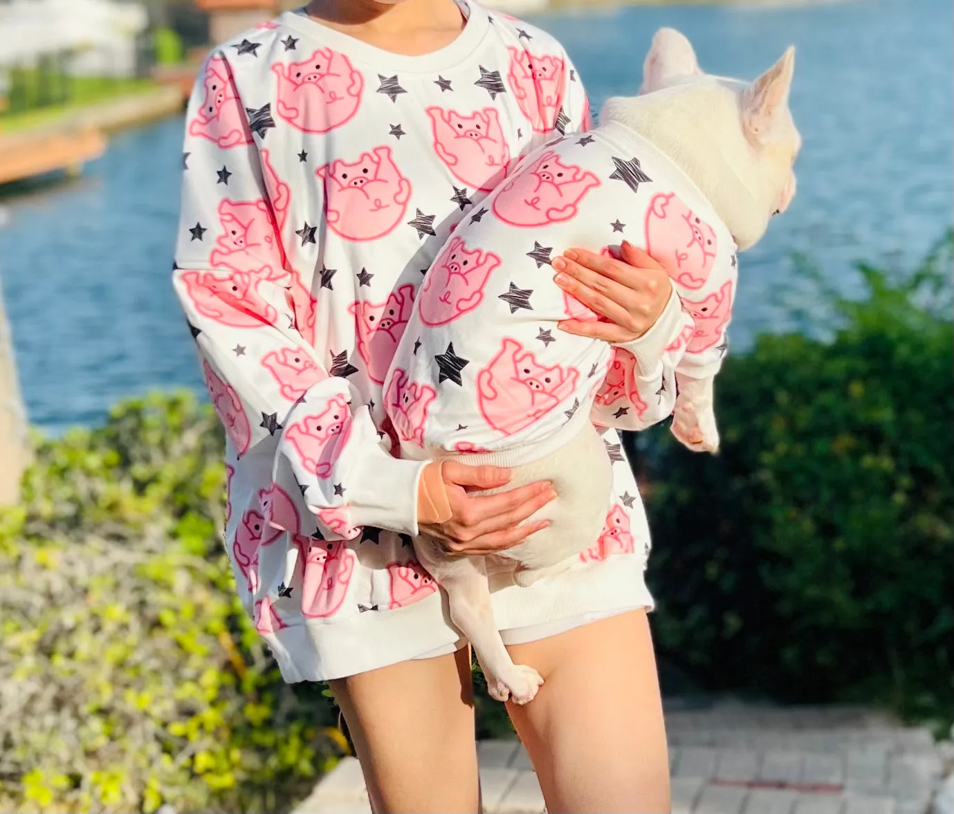 Cheeky Pig Butts Owner and Pet Family Matching Set