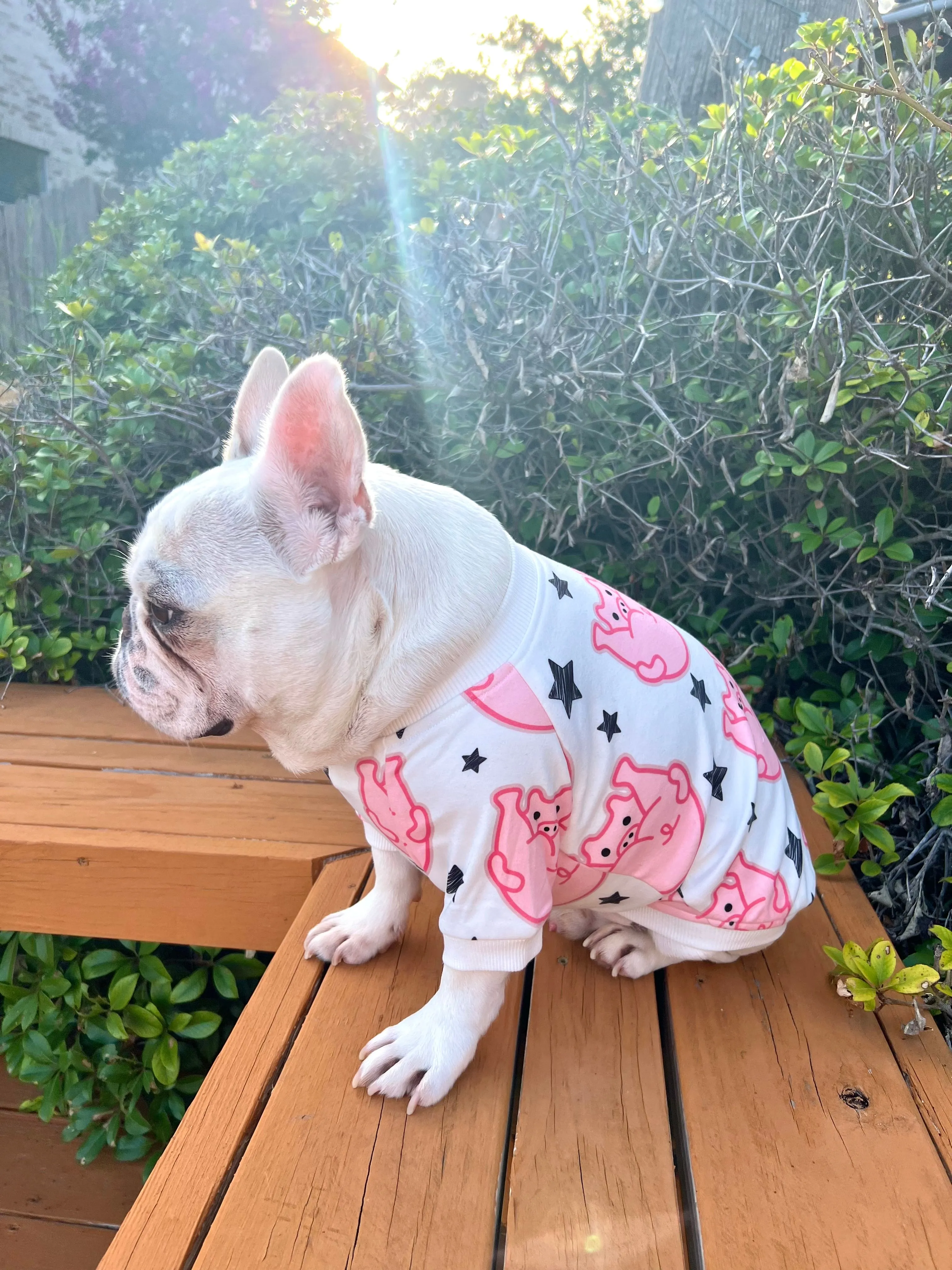 Cheeky Pig Butts Owner and Pet Family Matching Set