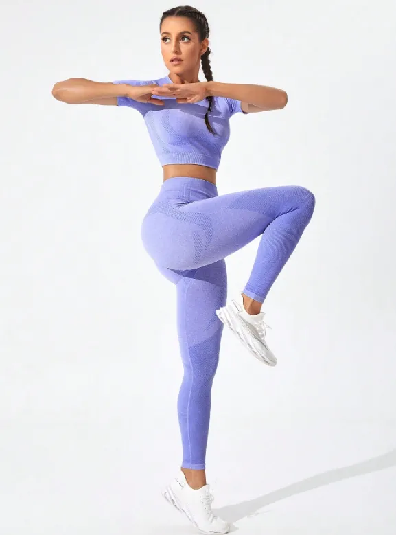 Gym Bunny Purple Alexis 2 Piece Short Sleeve Gym Set