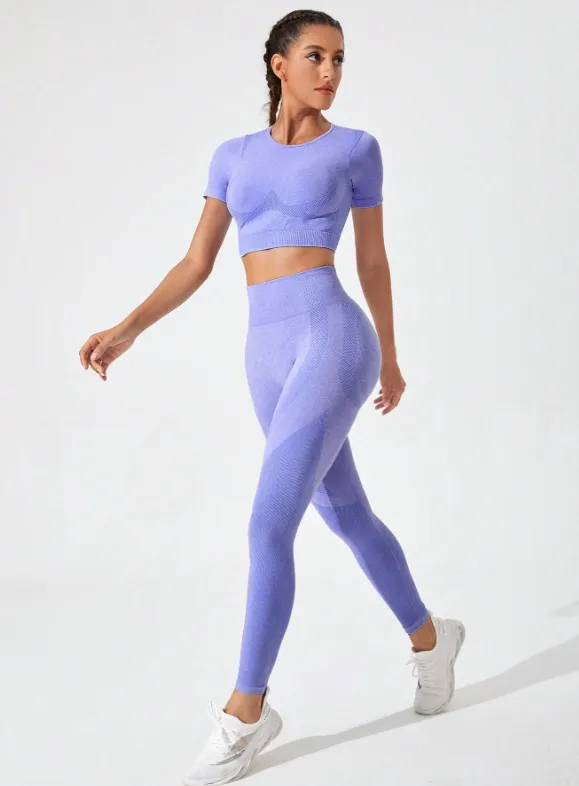 Gym Bunny Purple Alexis 2 Piece Short Sleeve Gym Set