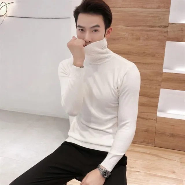 Men's Cashmere Turtleneck Sweater
