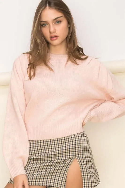 Pink / Brown Demeanor Long Sleeve Sweater